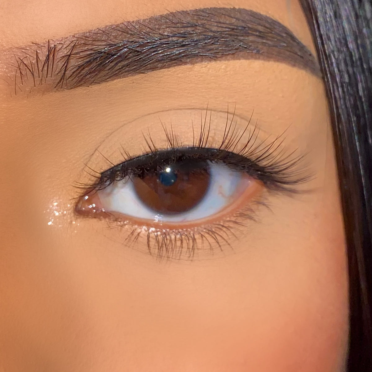 Purely Magnetics - ISLA Magnetic Lashes | LashyBox