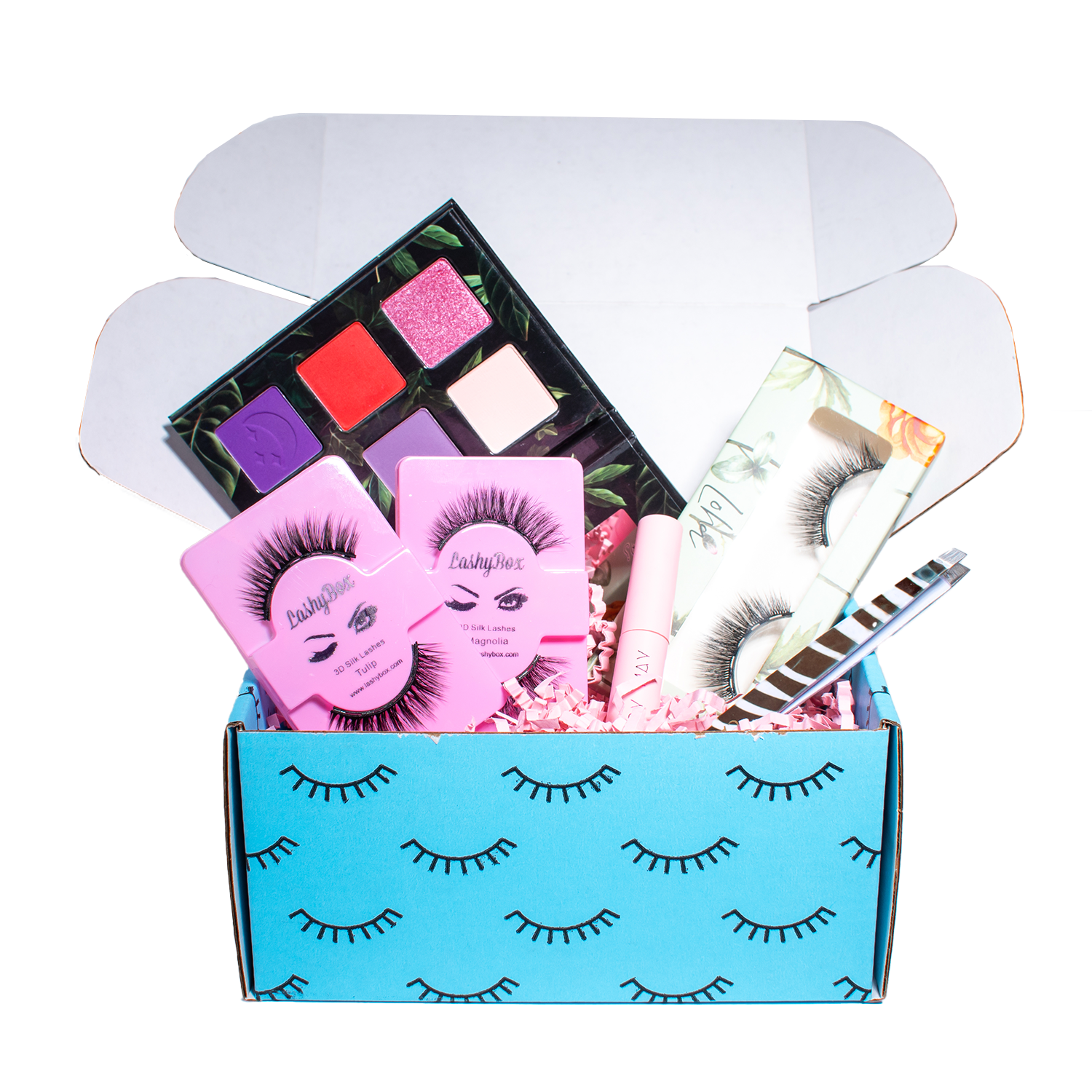 The Magnetics Box - 6 Month Prepaid