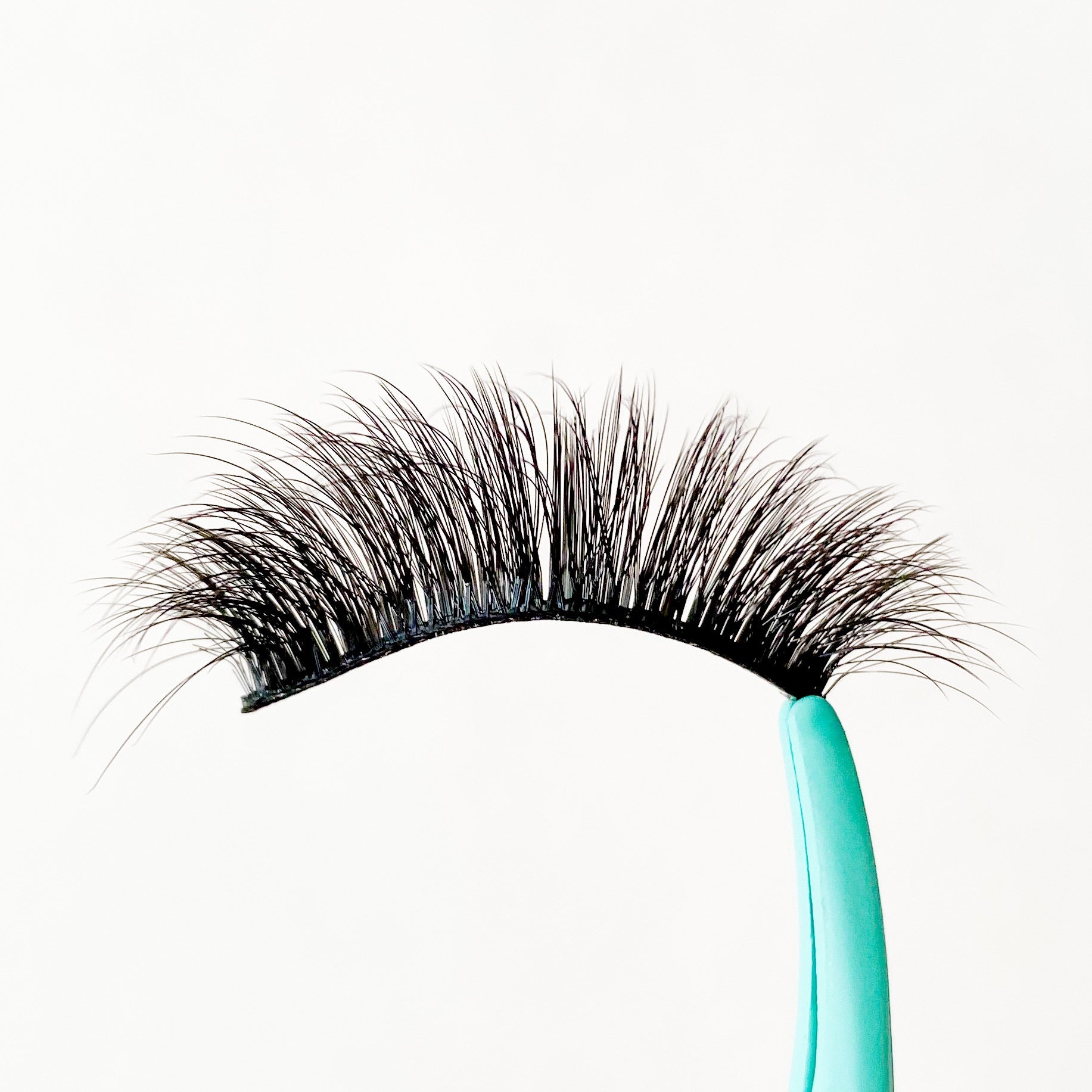 Cas Cosmetics Lashes - ARIES